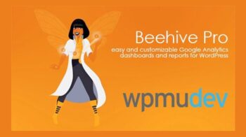 Beehive Pro Dashboards and Google Analytics reports for WordPress