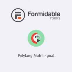 Formidable Forms - Polylang Multilingual (WPML)